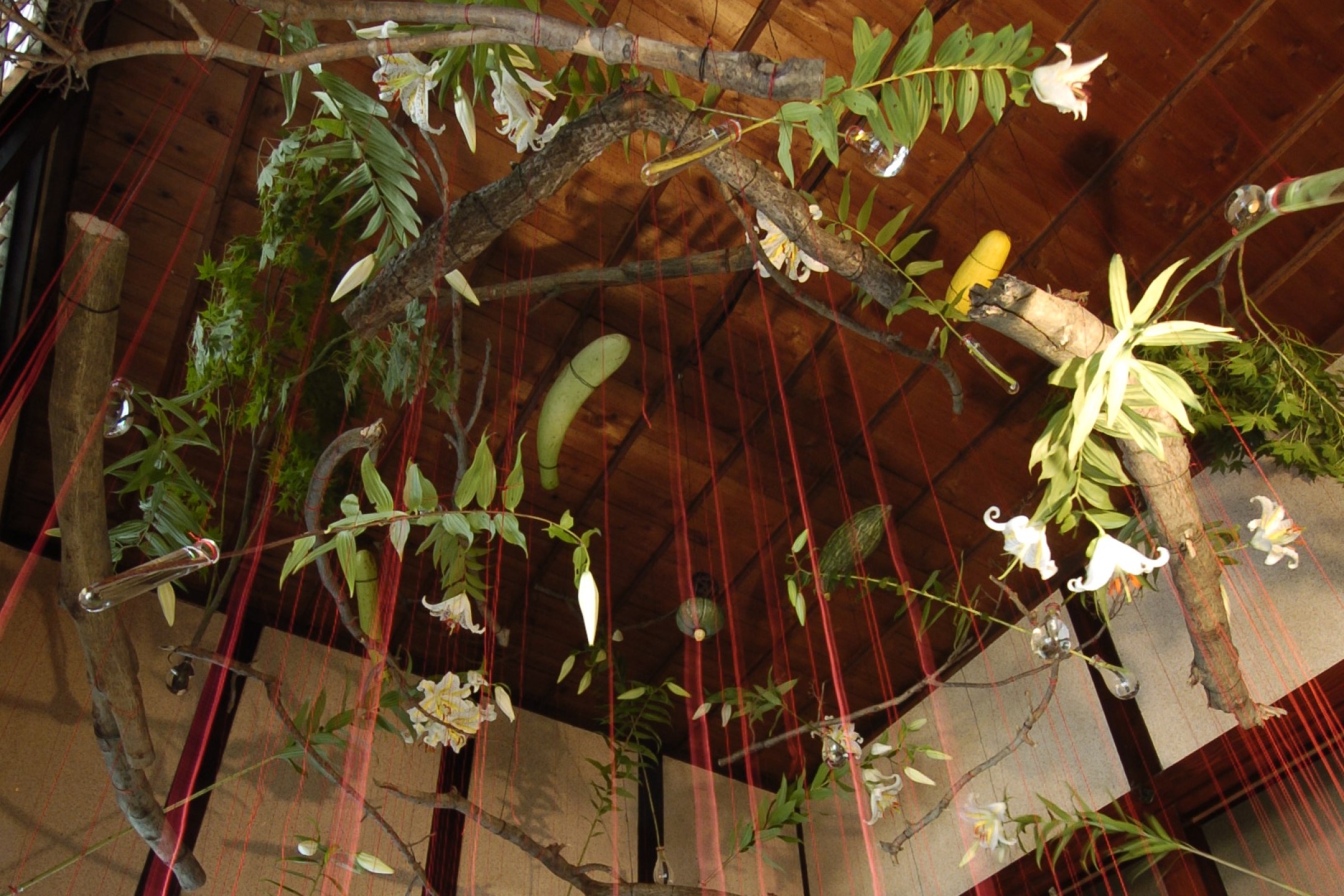 花天蓋 テーマ館 無題 常設館 作品 大地の芸術祭